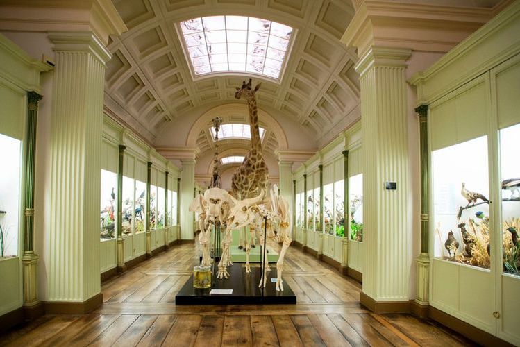 Musée d'Histoire naturelle et Vivarium